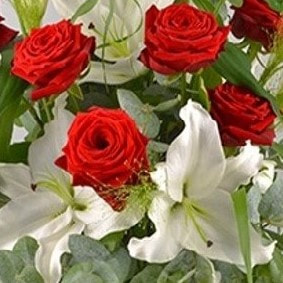 A FLEUR D'EAU - Fleuriste livraison fleurs JOHANNESBURG - A Fleur d'eau -  Artisan Fleuriste